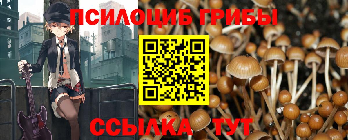 Галлюциногенные грибы MAGIC MUSHROOMS Кимовск